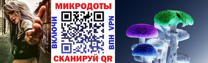 что такое наркотик  Завитинск  Псилоцибиновые грибы мицелий 